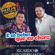 Ricardo e João Fernando