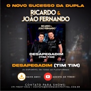 Ricardo e João Fernando