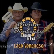 Divino e Donizete