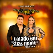 Banda Mercosul