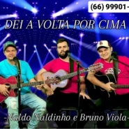 Naldo  - Naldinho e Bruno Viola